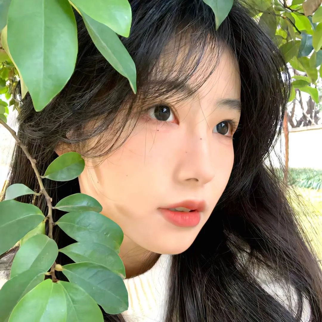 驶入心途