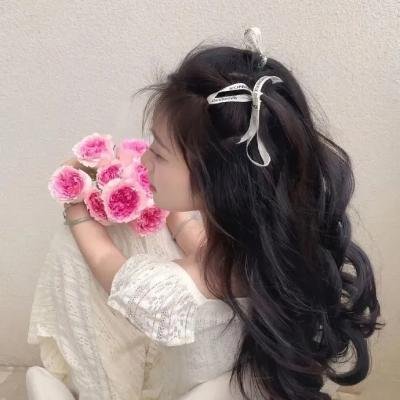 夏绿蒂的网