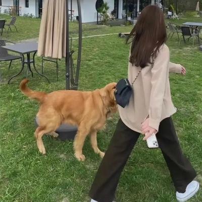 精灵特攻队：俏皮双人组